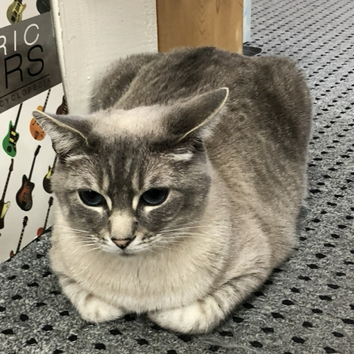 Picture of James Wang